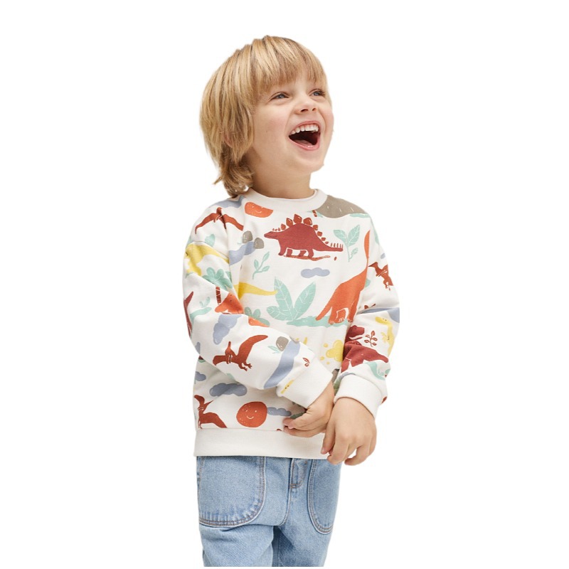 Type 2-- boy's cartoon pullover 